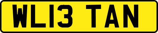 WL13TAN