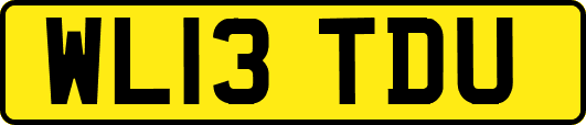 WL13TDU