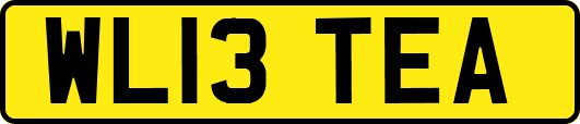 WL13TEA