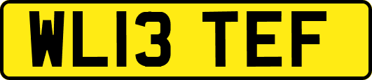 WL13TEF