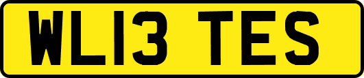 WL13TES