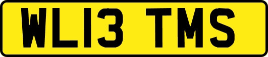 WL13TMS