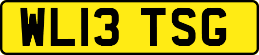 WL13TSG