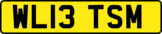 WL13TSM
