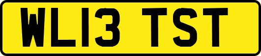 WL13TST