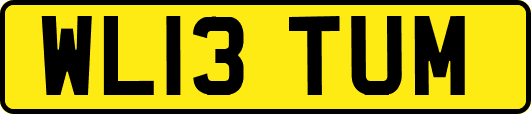 WL13TUM