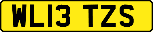 WL13TZS