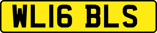 WL16BLS