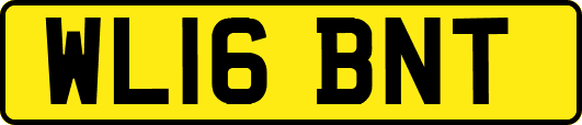 WL16BNT
