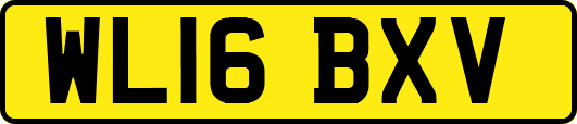 WL16BXV