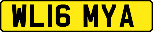 WL16MYA