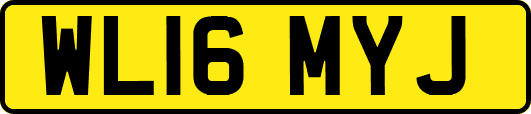 WL16MYJ