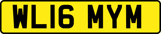 WL16MYM
