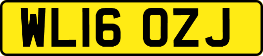 WL16OZJ