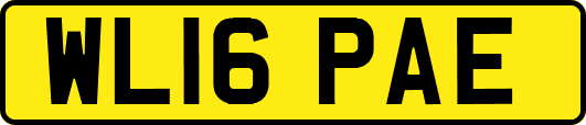 WL16PAE