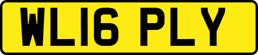 WL16PLY