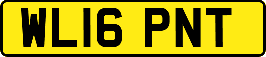 WL16PNT