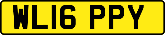 WL16PPY