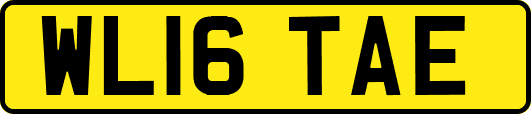 WL16TAE