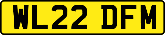 WL22DFM