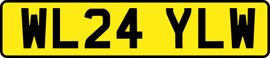 WL24YLW