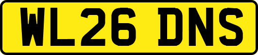 WL26DNS