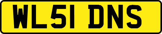 WL51DNS
