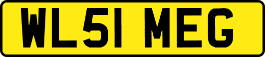 WL51MEG