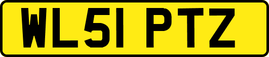 WL51PTZ