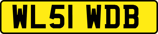 WL51WDB