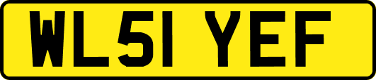 WL51YEF