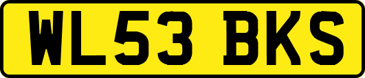WL53BKS