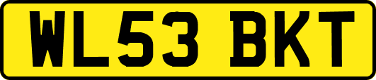 WL53BKT