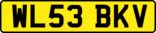 WL53BKV