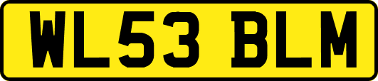 WL53BLM