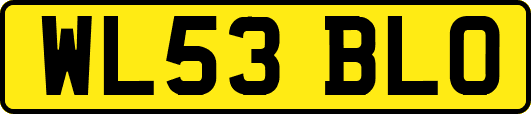 WL53BLO