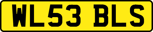 WL53BLS