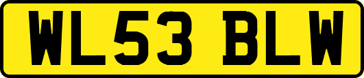 WL53BLW