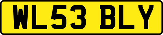 WL53BLY