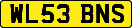 WL53BNS