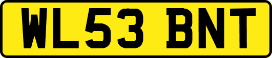 WL53BNT