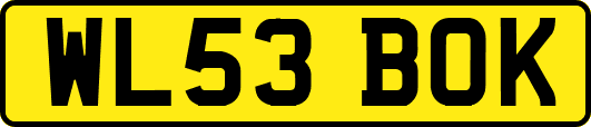 WL53BOK