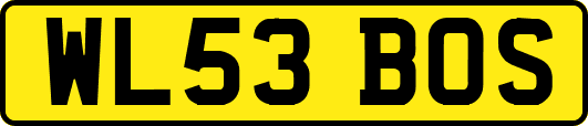 WL53BOS