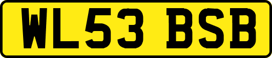 WL53BSB