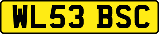 WL53BSC