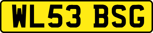 WL53BSG