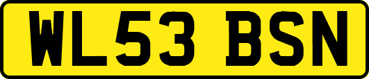 WL53BSN