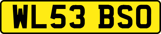 WL53BSO
