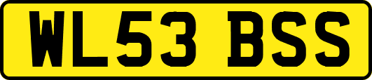 WL53BSS