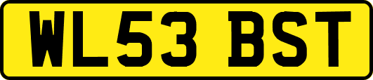 WL53BST